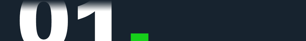 01g